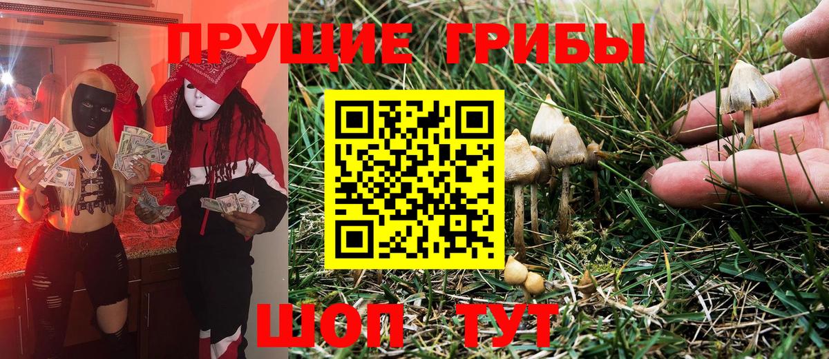 Псилоцибиновые грибы Psilocybe  Вход с VPN  Радужный  Псилоцибиновые грибы мухоморы 